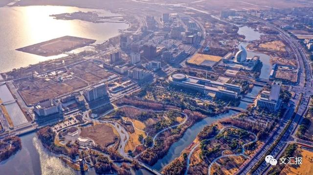 发展|读懂上海市政府工作报告，这些“新词热语”你值得Get