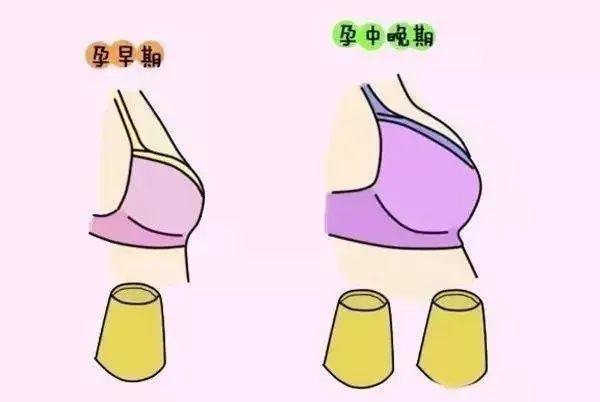『超级宝妈』母婴好物盘点，宝宝出生后，这些母婴用品是必备，可省不少事