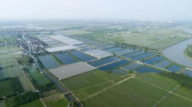 企业|开门红！金山今年首家企业成功上市