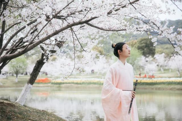 「趣旅游」趁樱色,入画来!