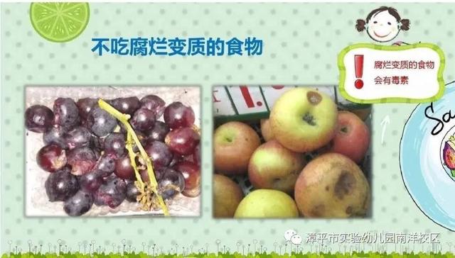 「你的育儿经」别样过假期,携手共育促成长—安全篇