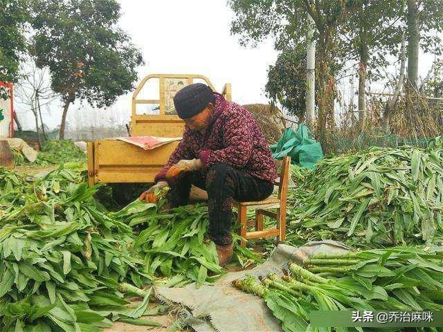 你的育儿经■独自带娃到5岁，婆婆突然说：我来帮你带，你每个月给我2500块