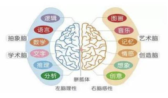 李玫瑾：孩子哭闹制不住？父母一个举动，比“讲道理”管用