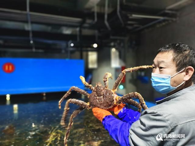 赢在最先一公里！国内首个生鲜产业互联网平台将落地青岛