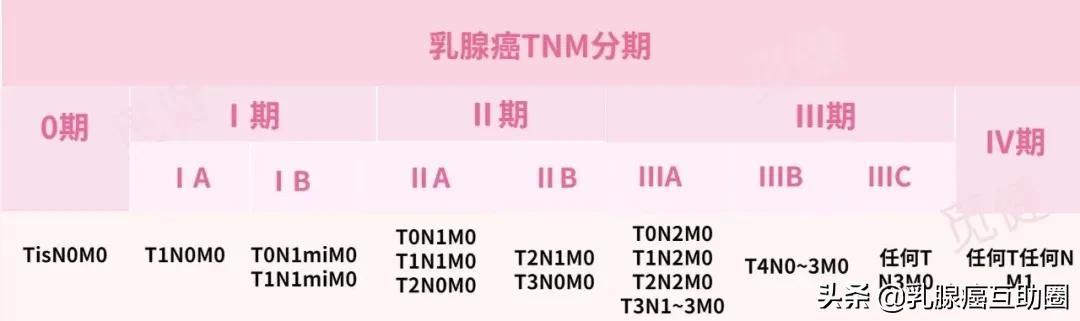 一文读懂 | 被称为“金标准”的病理报告，究竟怎么看？