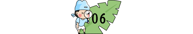 「夏以乔木」开学即期中！31个省市返校时间&暑假时间来了！复课第一个月，必须重视！（家长和孩子都读一读）