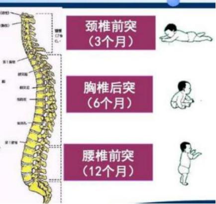 婴儿车的使用有“月龄限制”，和宝宝骨骼发育息息相关，别大意