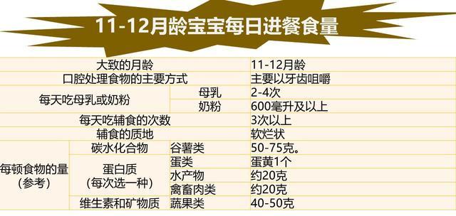 你的育儿经|宝宝过度肥胖，11~12个月宝宝怎样吃、吃多少才能营养不过剩