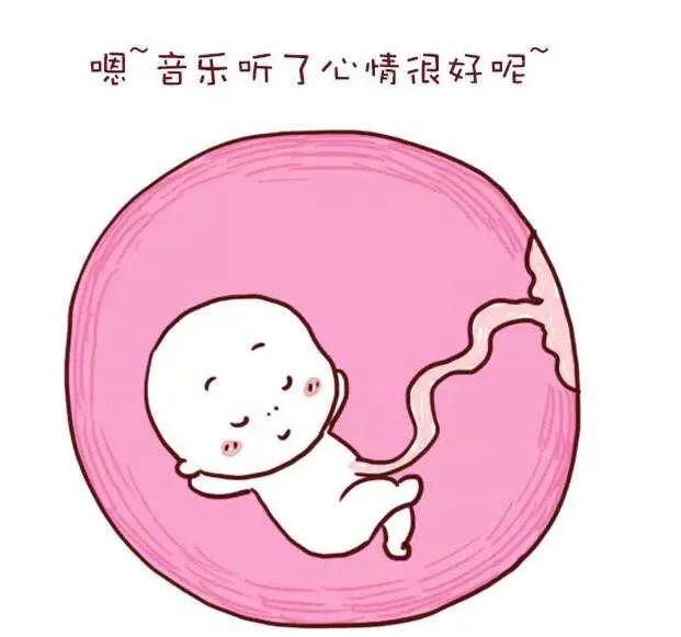 有趣的爱|准妈妈们看过来，孕17-18周注意事项
