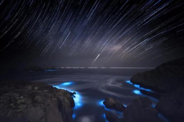 惊艳!“蓝眼泪”奇观再现浙江|光明网