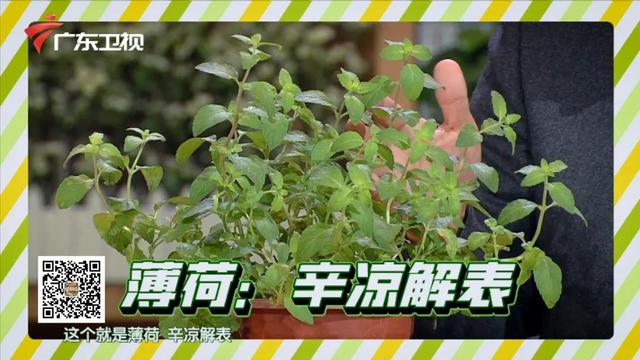 学会5个提高免疫的妙招，全家平安过一冬