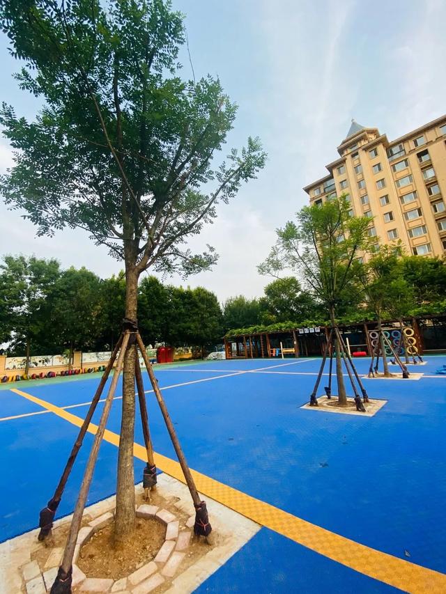 齐鲁东营资讯|开学啦 我们不见·不散