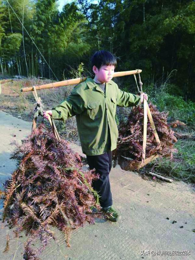 超级宝妈：加强劳动教育，看看这些家长怎样做