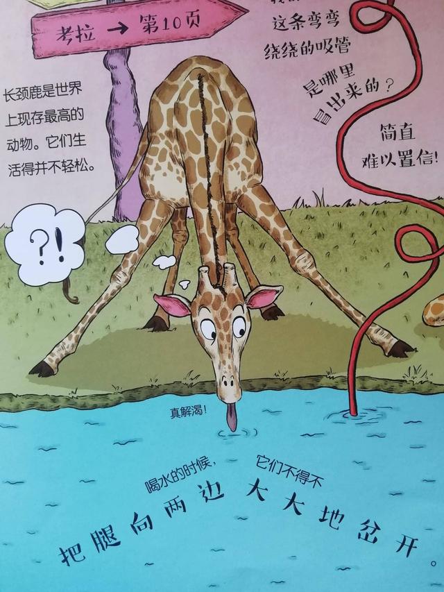 你的育儿经■适合3岁小朋友读的动物科普书