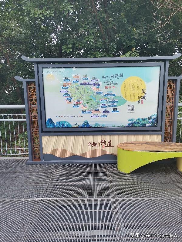 【山楂味的诗】走马观花,看顺德大良。