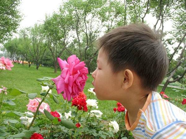 超级宝妈▲9岁男孩肚子痛，手术取出来的东西，医生都震惊：这么多异物！