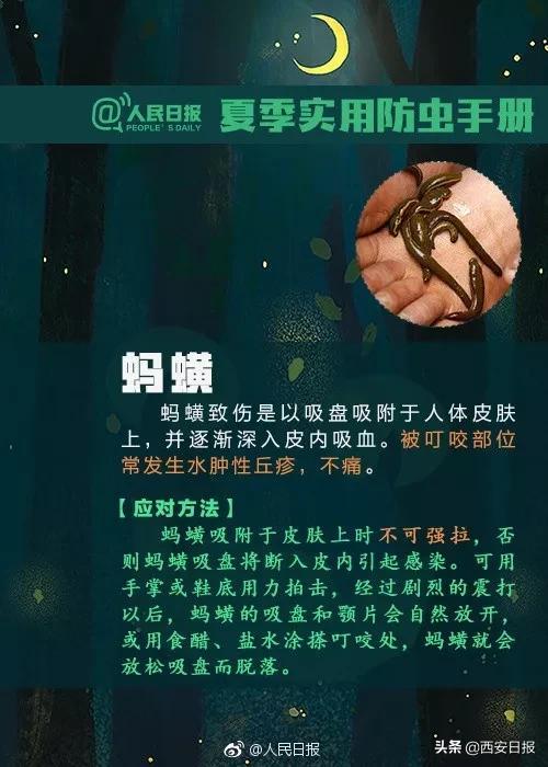 叮咬|清明出游后腿上多了几个红斑，医生紧急提醒：千万小心它，可致命