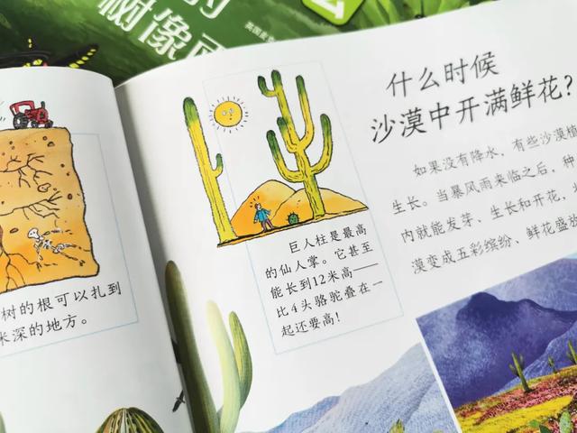 「影视交流地」黄圣依被5岁儿子嫌弃却获赞无数:用百科书喂大的孩子眼界不一般