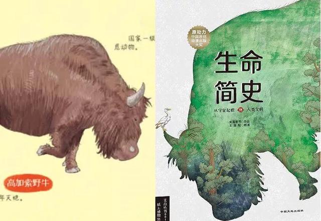 你的育儿经@教孩子,好奇心比知识更重要(中小学生家长必读)