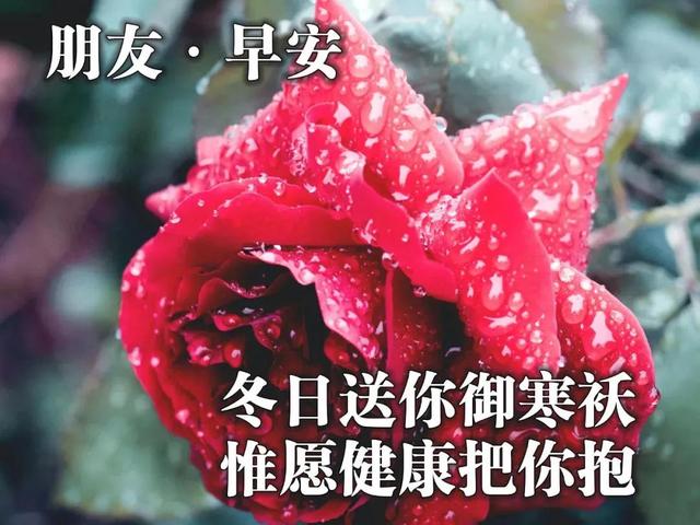 努力是一种生活态度，与年龄无关。早安