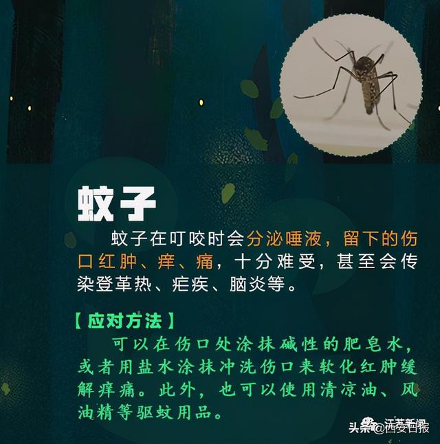 蜈蚣|被这种虫子咬一口，女子窒息身亡！被咬后千万别这样做