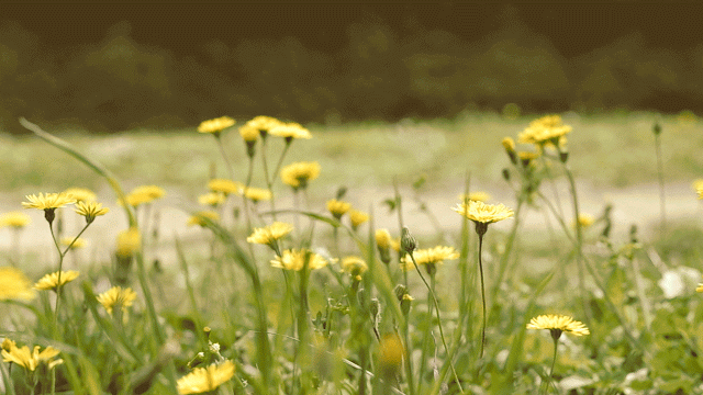 感染幽门螺杆菌，除了抗生素，还有这些食物可以帮你