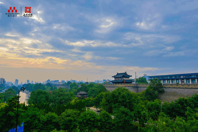 #旅行柚子君#城墙小精灵,萌宠天团C位出道