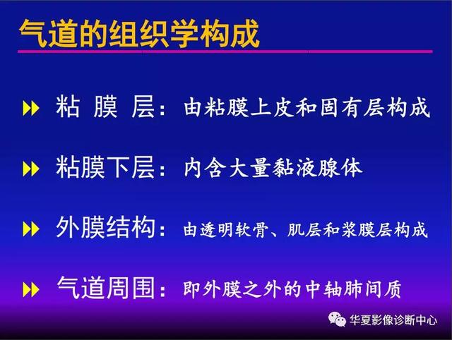 肺间质性疾病的解剖、病理、影像分析