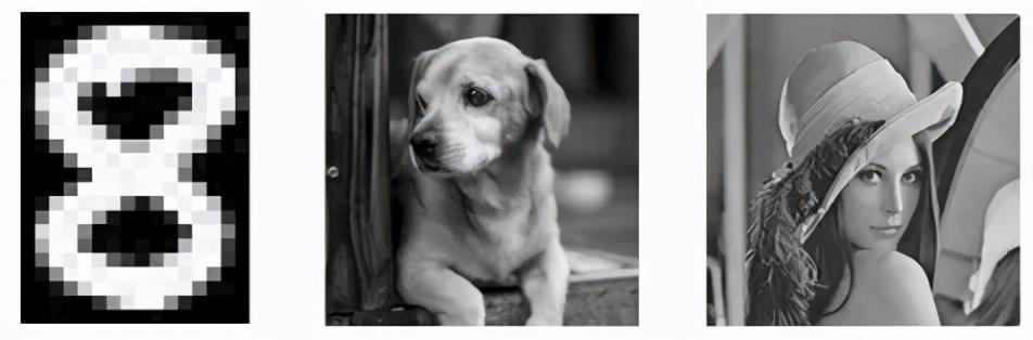 你曾想过如何将图像存储在数据集中吗？