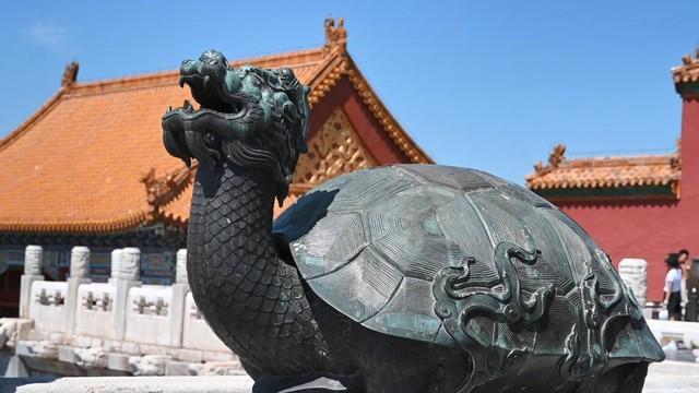 4575万高像素&amp;4K高画质 尼康Z7值得选
