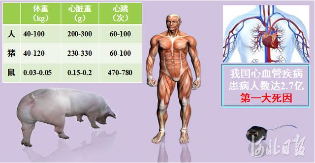 国家重大科技基础设施项目&quot;天蓬工程&quot;在涿州进展顺利