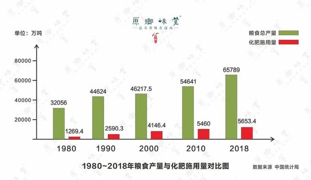 中国3亿多人患有隐形饥饿，食物营养都去哪儿了？