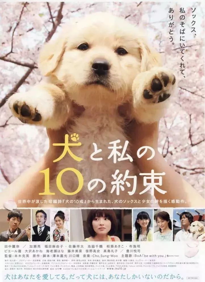 『暖先生格调』宅家期间，这42部好电影值得带孩子看一看！