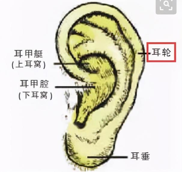 老中医教你七种方法拉拉耳朵，养肾止痛，延年益寿