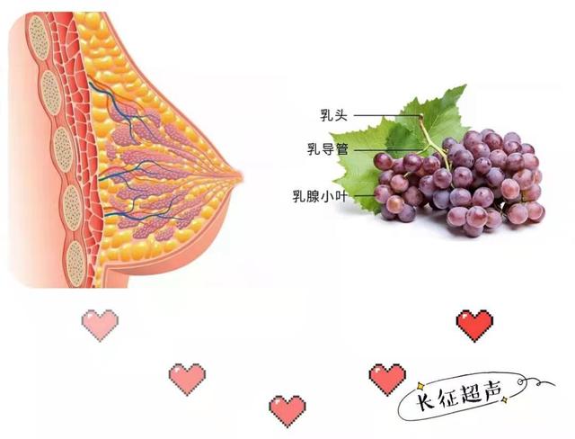 乳腺|小超人科普时间：乳腺结节分级系统，看这篇，就够了