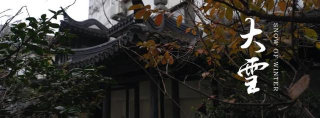 二十四节气 · 大雪 | 新品发布