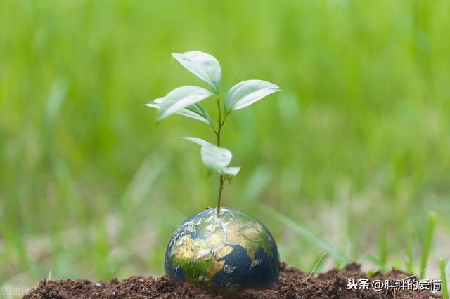 人生没有白费的努力，也没有凑巧的成功；坚持，是生命的一种毅力