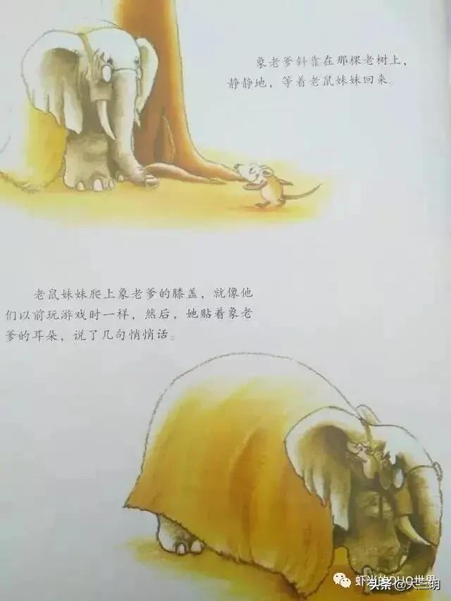 你的育儿经■「家园携手」贴心云陪伴 童年不“童”样（二十四）