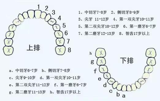 「超级宝妈」Helen齿科中心——关于儿童换牙那些事