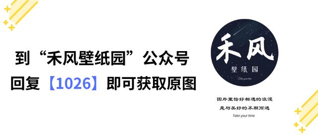 壁纸丨电脑平板不容错过的高清精美壁纸