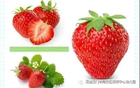 你的育儿经|厦门同安：「战疫特辑」悦享亲子营，携手战疫情——“悦”创意