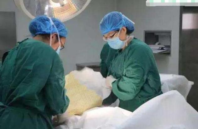 你的育儿经|5岁男孩每天吃“蛋炒饭”，10天后住进icu，医生怒斥：不配为父母