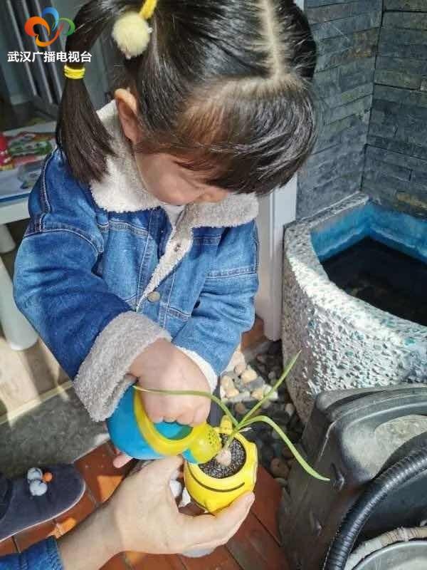 超级宝妈：超治愈！武昌萌娃宅家“种春天”