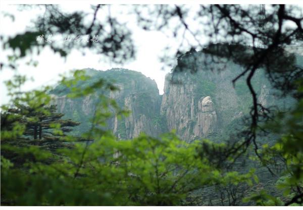 在路上▲天下第一奇山,风景优美奇松怪石,游客慕名而来