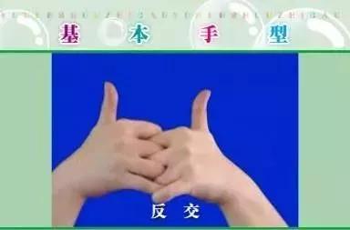 #你的育儿经#用这些童谣和孩子一起玩手指操，开发右脑，孩子越玩越聪明
