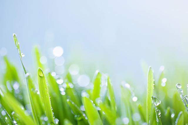 湿气|抓住春天最后的养生关键点 谷雨来了要祛湿