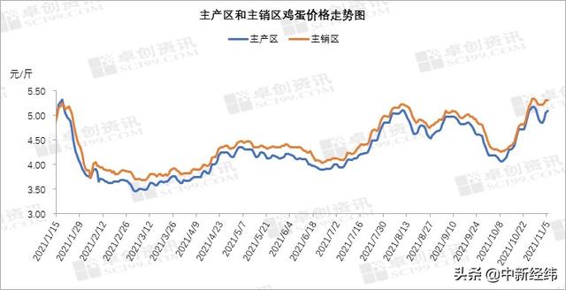 产地鸡蛋价格再破5王金玉未来几个月或高位震荡