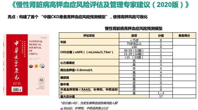 「2020 CSN」血钾管理刻不容缓，新药助力中国实践——中外高钾血症管理新进展