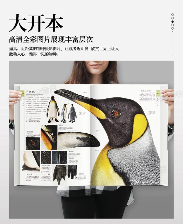 [你的育儿经]美国心理学家研究：高智商儿童的共同点在于创造力，而不是靠遗传