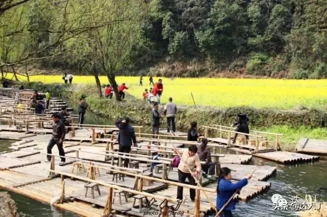 [世界那么大]#唤醒好春光#这次，我要去婺源感受不一样的油菜花世界